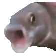 ooooo.gif
