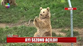 DbIqAdxXkAAZIaa.jpg