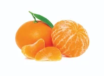 1700512991934.webp