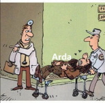 1700750858917.png