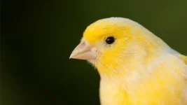 1700987799868.webp