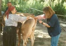 images-9.webp