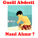 güsul.png