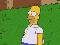 1703276366459.gif