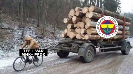gerçekler.jpg