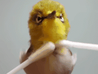 ezgif-1-b2fcd6c179.gif