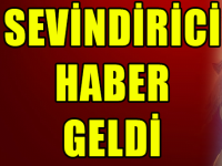 irem-tekellioğlu.png