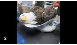 48F09C4D-0D79-44D3-AA40-8969738BF25A.jpeg