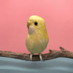 giphy.gif
