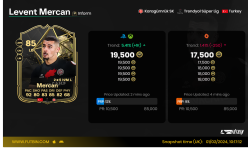 Levent Mercan .png