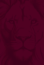 1707573801178.png