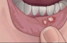 1707742600135.png