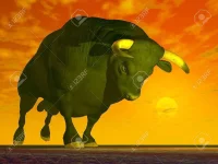 20847351-big-black-agressive-bull-ready-to-charge-by-red-sunset.webp
