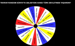 1113.webp