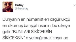 tea2.jpg