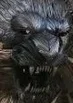 aslan.webp