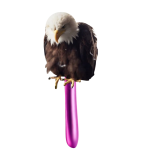 1709499392084.png
