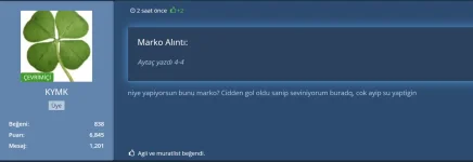 resim_2024-03-17_194927977.png