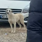 1712048785451.webp