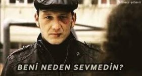 images (12).jpeg