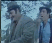 1713548342602.gif