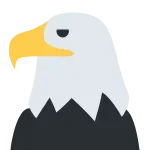 1713868492392.webp