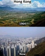1714512768168.webp
