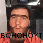 sjsj-bohohoyt.gif