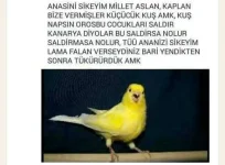 images (1).webp