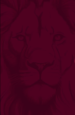 1715461380365.png