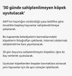 1716382584401.webp