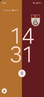 1000035241.webp