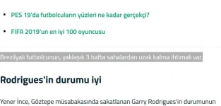 1538219292091.webp
