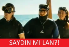 saydin-mi-lan_1200941.webp