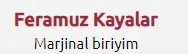 Ekran görüntüsü 2024-06-06 125853.webp