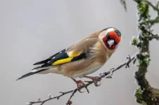 images (8).webp