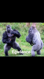 1718647280674.png