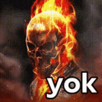 yok-rider.gif