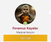 1719165338983.png