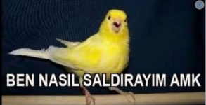 1719773926549.png
