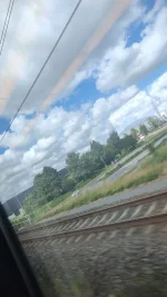 1000002509.webp