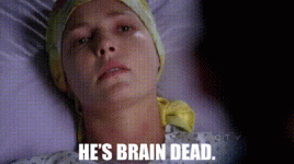 5713cc8c-54f8-4f06-ac85-95c28deee73d_text.gif