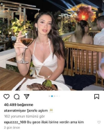 1721419044030.png