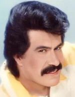 1719685813992.webp