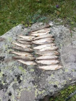 IMG-20240721-WA0003.webp