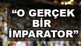 1538576328203.webp