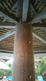 20181002_181503.webp
