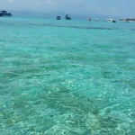 IMG_20181008_140528_063.webp
