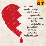 1539205862237.webp