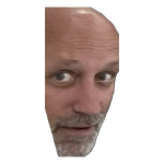 1722800344684.png